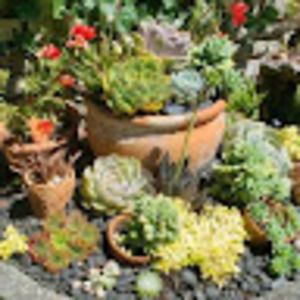 Meet your Posher, Rient